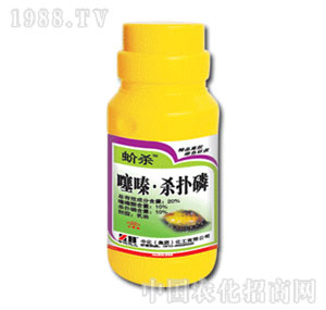 �л�����-򻚢