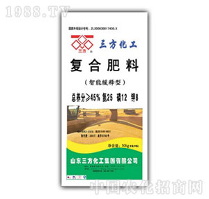 ��������-���ܾ���͏�(f��)�Ϸ���25-12-8