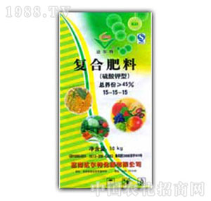 ��������-�_�����������