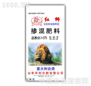 ��������-�LЧ���ܾ����19-19-19