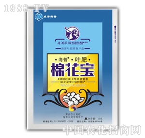 �n��-�޻���