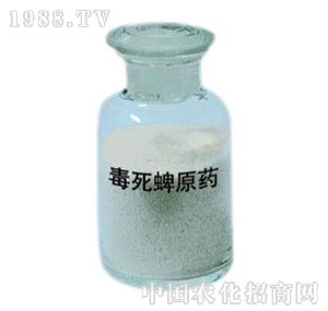 �n��-������ԭˎ