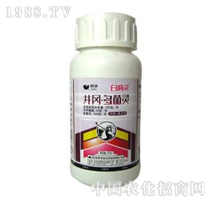 �n��-�׸��`