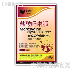 �n��-�}�������