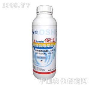 �n��-��ʿ�������