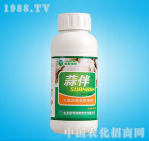 �ٰ�-40%���