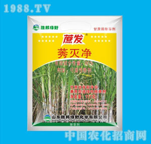 �ٰ�-80%��l(f��)