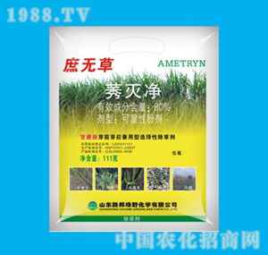 �ٰ�-80%��o(w��)��