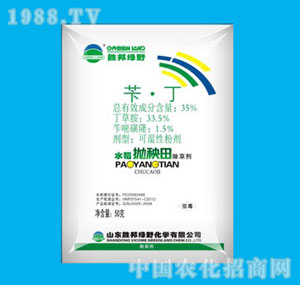 �ٰ�-35%�GҰ������