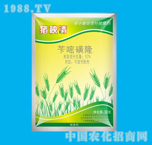 �ٰ�-10%�i����