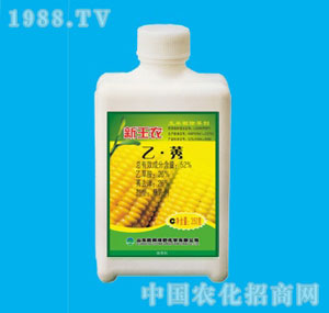 �ٰ�-52%�����r