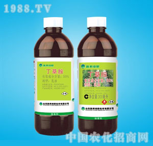 �ٰ�-���ݰ�