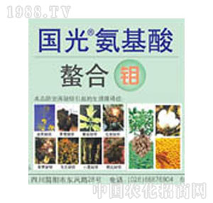 ����-�������f