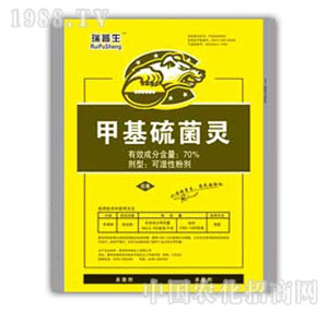 ������-�׻�����`