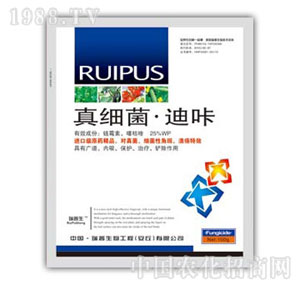 ������-�����