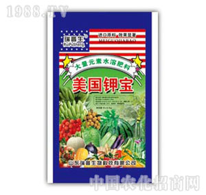 ������-����(gu��)⛌�