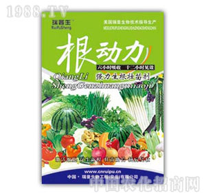 ������-����(d��ng)��