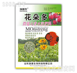 ������-�����