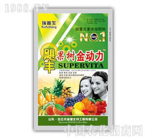 ������-����(sh��)����(d��ng)��