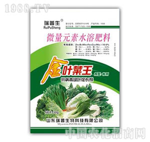 ������-���~����