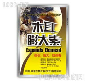 ������-ľ�������