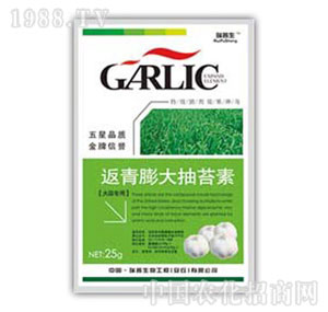 ������-��������̦��