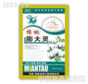 ������-��������`