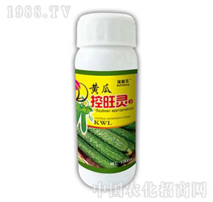 ������-�S�Ͽ����`