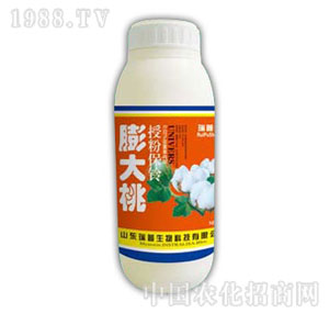 ������-�����