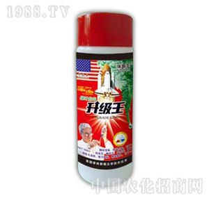 ������-������