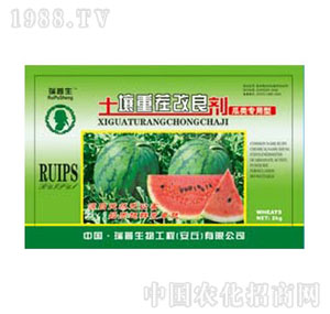 ������-�����ز�����������