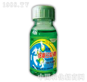 ������-ֲ�：��������