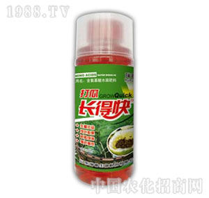 ������-����L�ÿ�