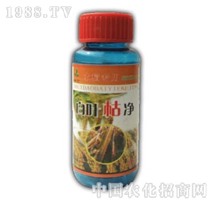 ��(r��n)ԣ-���~�݃�