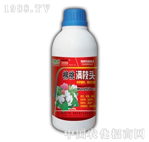 ��ԣ-���ҝM֦�^