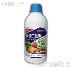 ��ԣ-��������