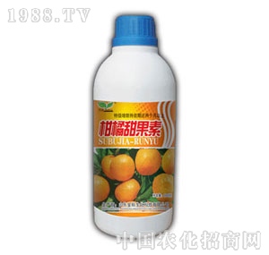 ��(r��n)ԣ-���������