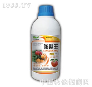 ��ԣ-������