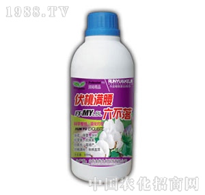 ��(r��n)ԣ-���ҝM��������