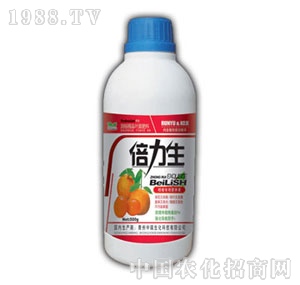 ��(r��n)ԣ-������