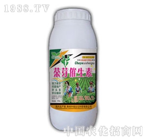 ��(r��n)ԣ-��ѿ������