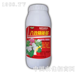 ��(r��n)ԣ-��Ч���Ҷ�