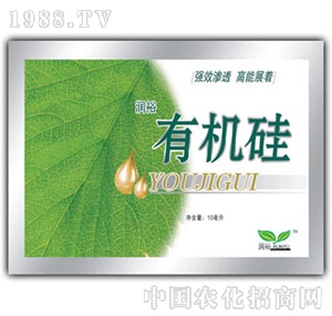 ��(r��n)ԣ-�ЙC(j��)��