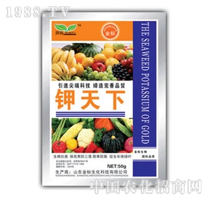 ��(r��n)ԣ-�����