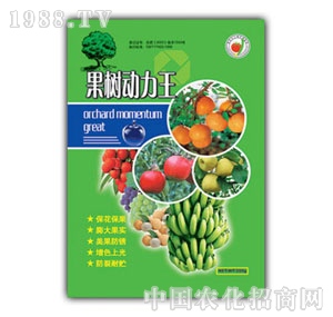 ��(r��n)ԣ-����(sh��)��(d��ng)����