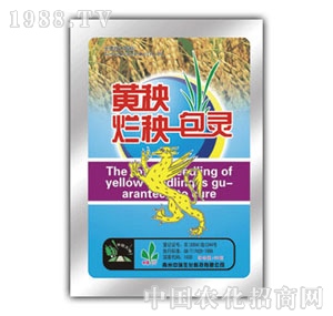 ��(r��n)ԣ-�S������һ���`