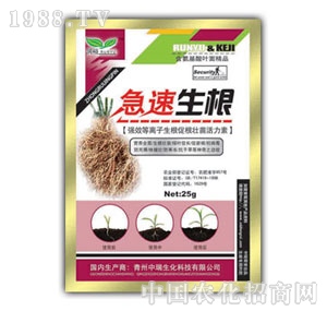 ��ԣ-��������