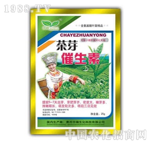 ��ԣ-��ѿ������