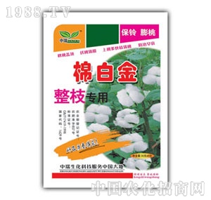 ��(r��n)ԣ-�ް׽���֦����