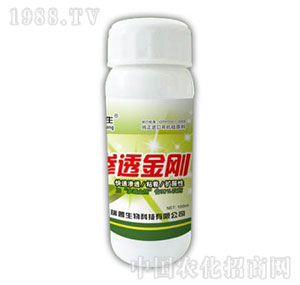 ������-�B͸����